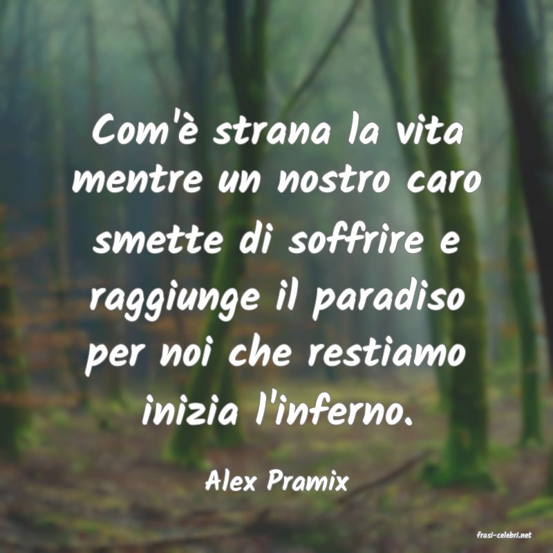 frasi di  Alex Pramix
