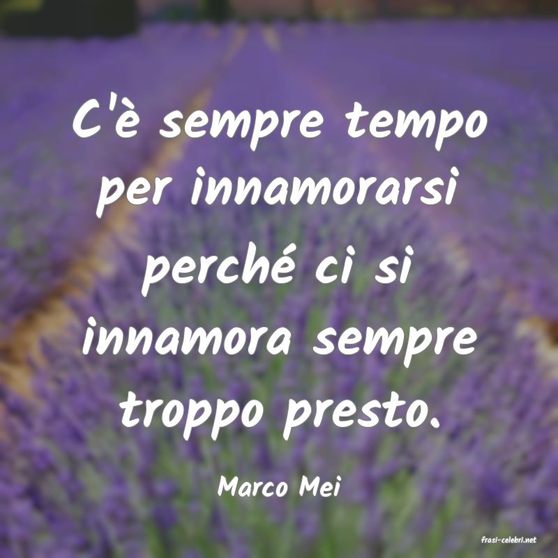 frasi di  Marco Mei
