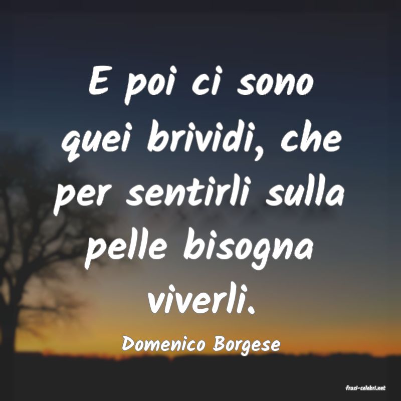 frasi di  Domenico Borgese
