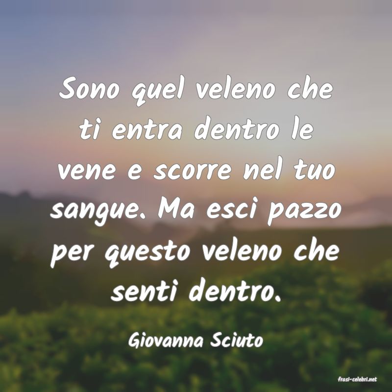 frasi di  Giovanna Sciuto
