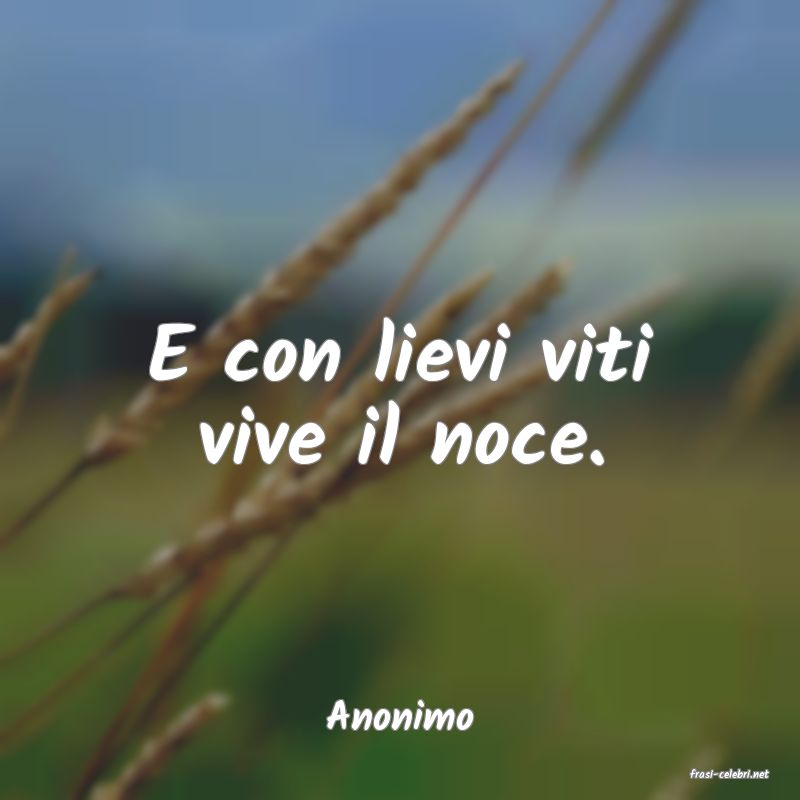 frasi di Anonimo