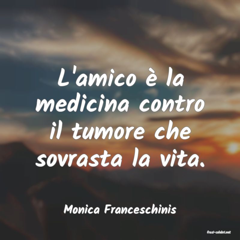 frasi di  Monica Franceschinis
