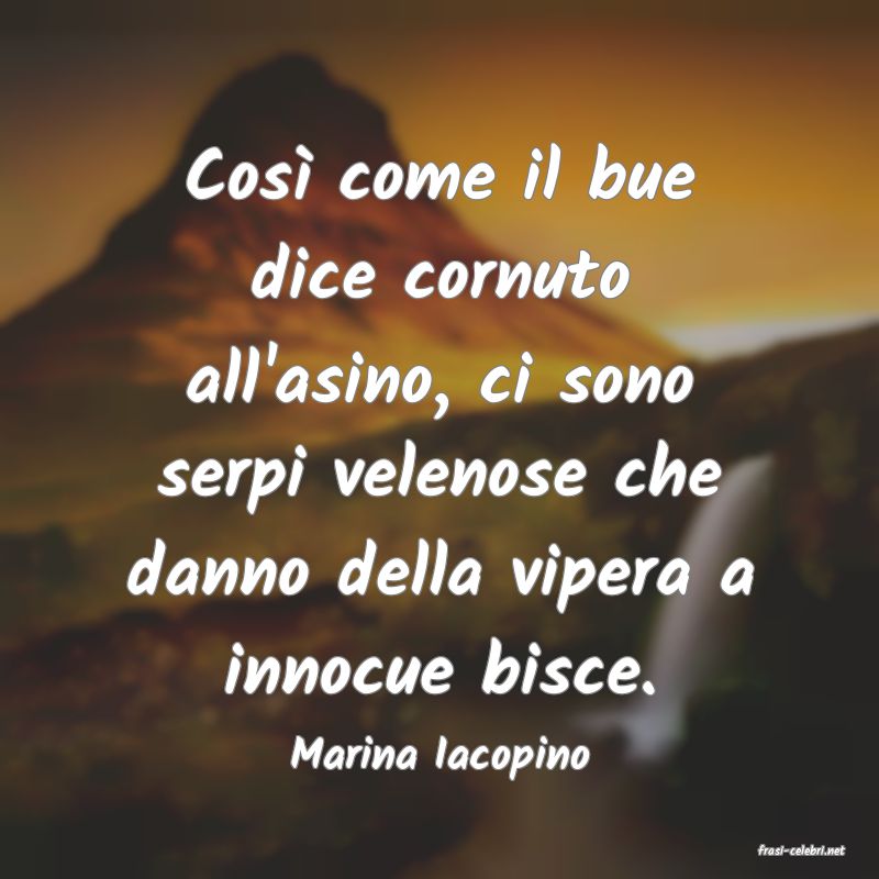 frasi di  Marina Iacopino
