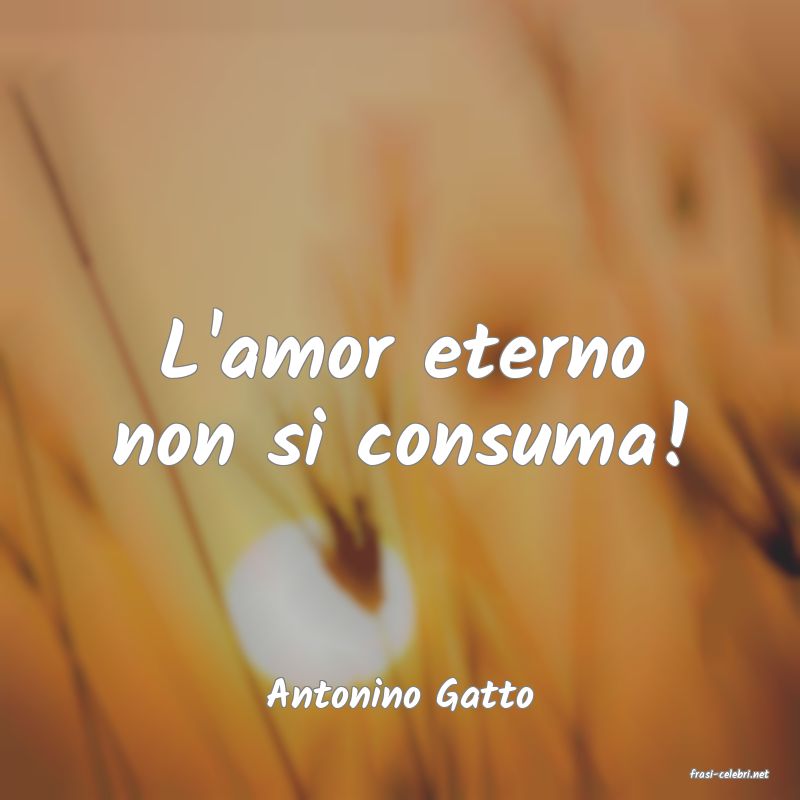 frasi di  Antonino Gatto
