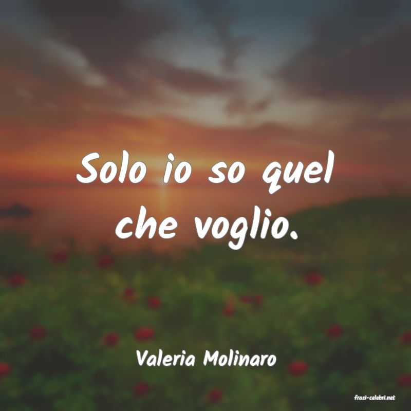 frasi di  Valeria Molinaro
