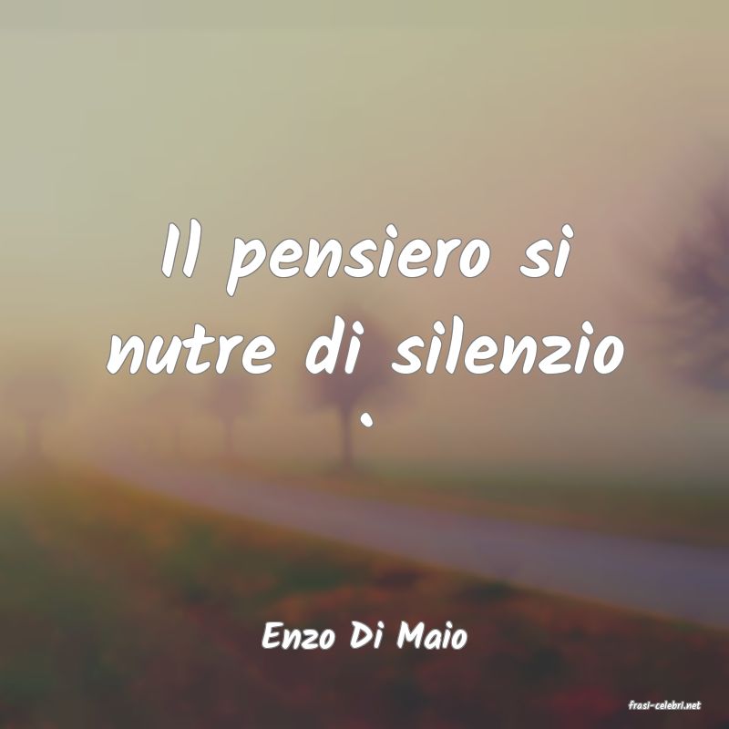 frasi di  Enzo Di Maio
