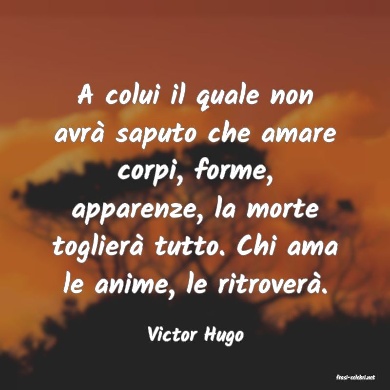 frasi di  Victor Hugo
