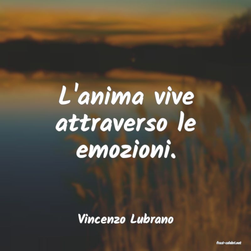 frasi di  Vincenzo Lubrano
