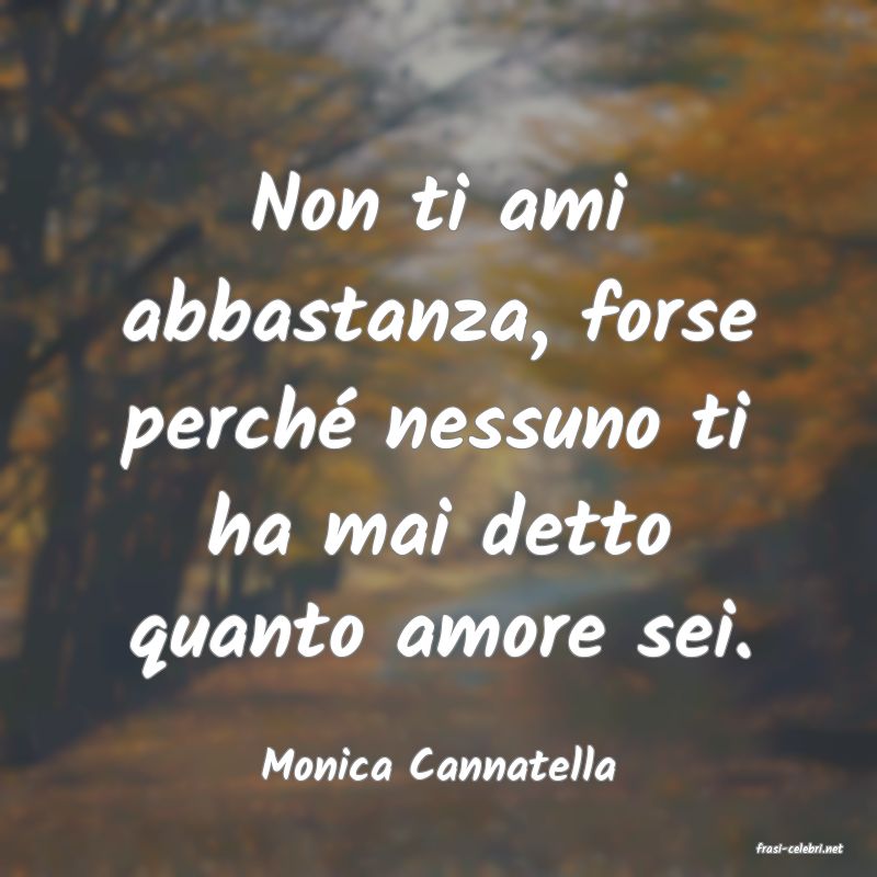 frasi di  Monica Cannatella
