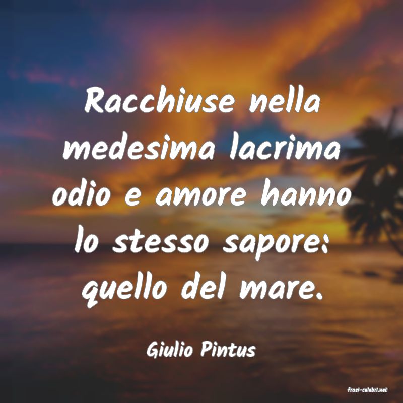 frasi di  Giulio Pintus
