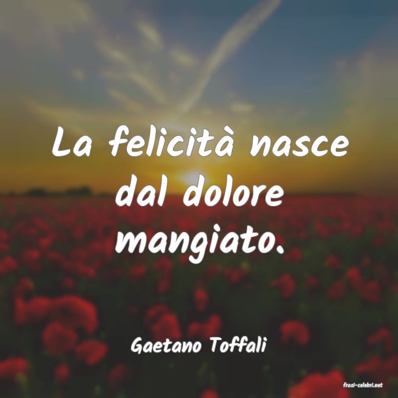 frasi di  Gaetano Toffali
