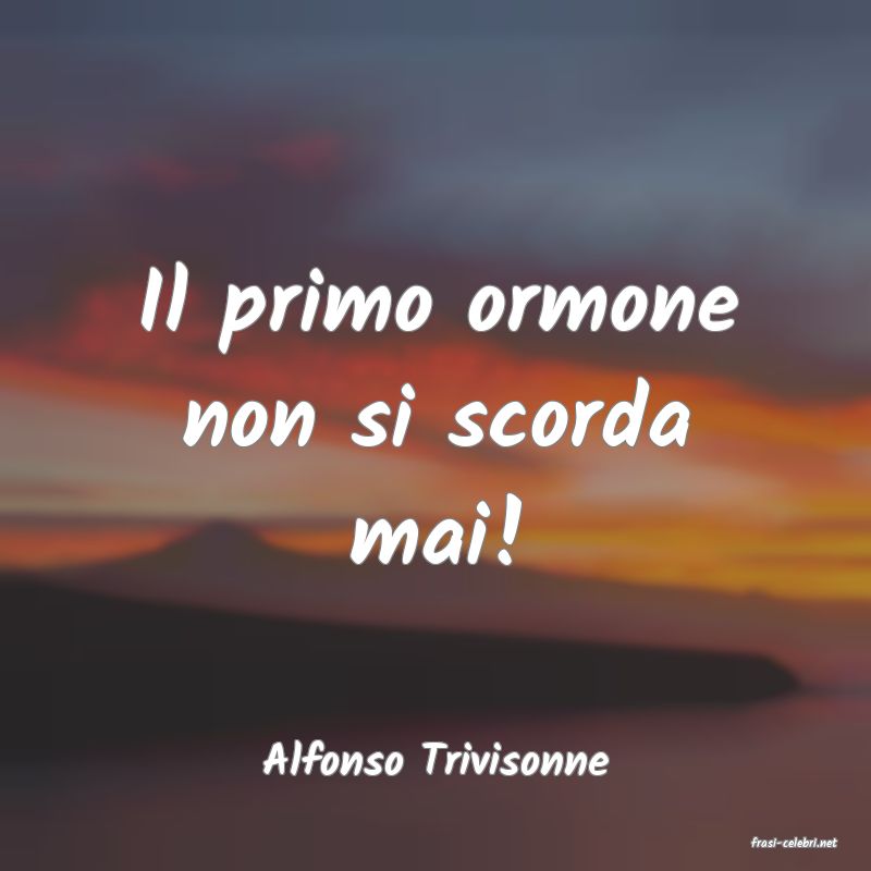 frasi di  Alfonso Trivisonne
