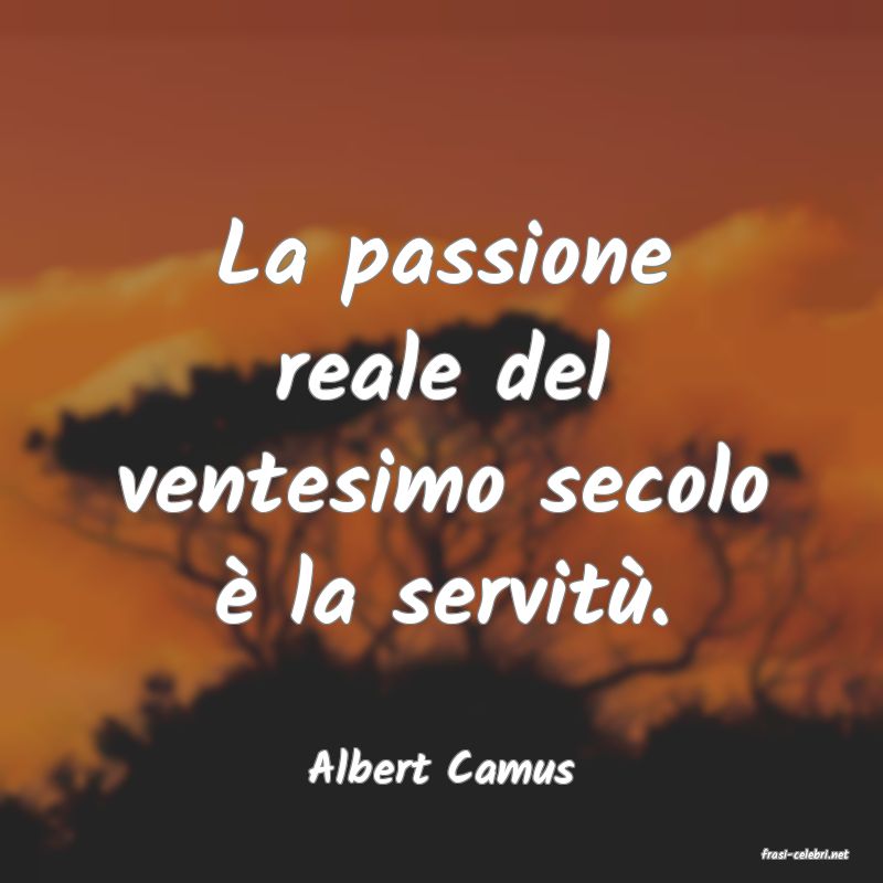 frasi di  Albert Camus
