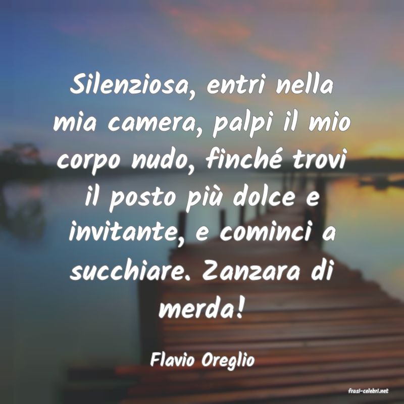 frasi di Flavio Oreglio