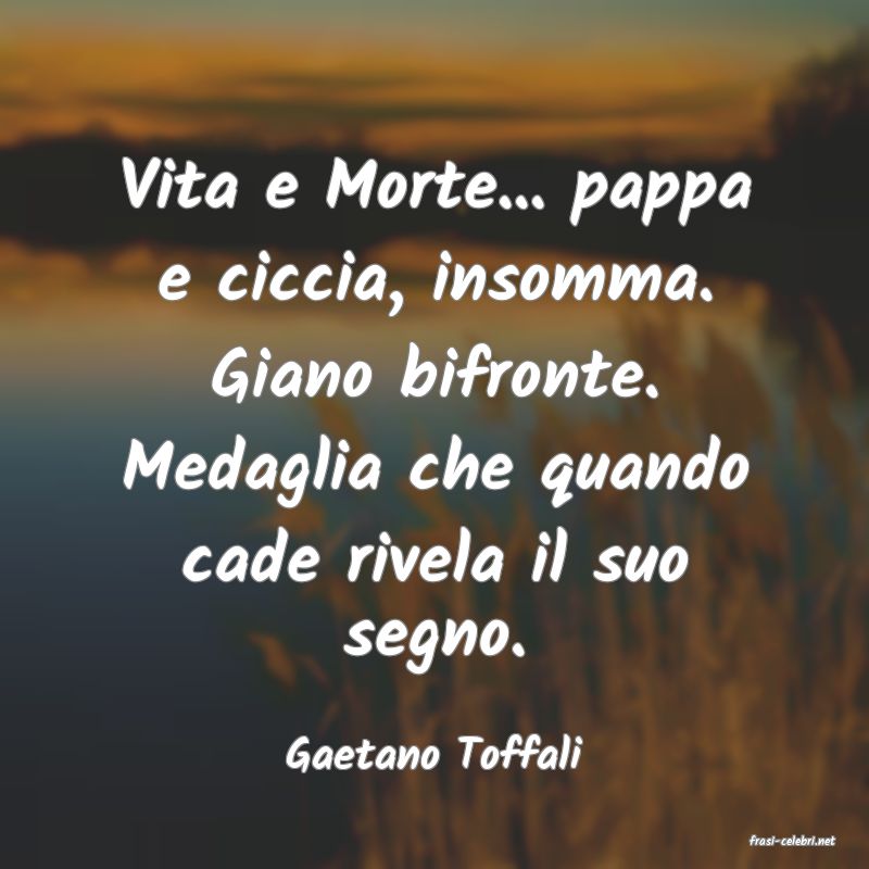 frasi di  Gaetano Toffali
