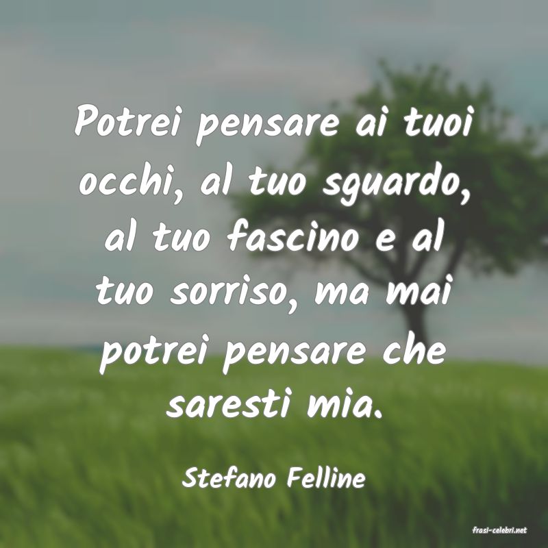 frasi di  Stefano Felline
