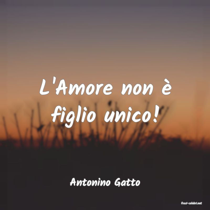 frasi di  Antonino Gatto
