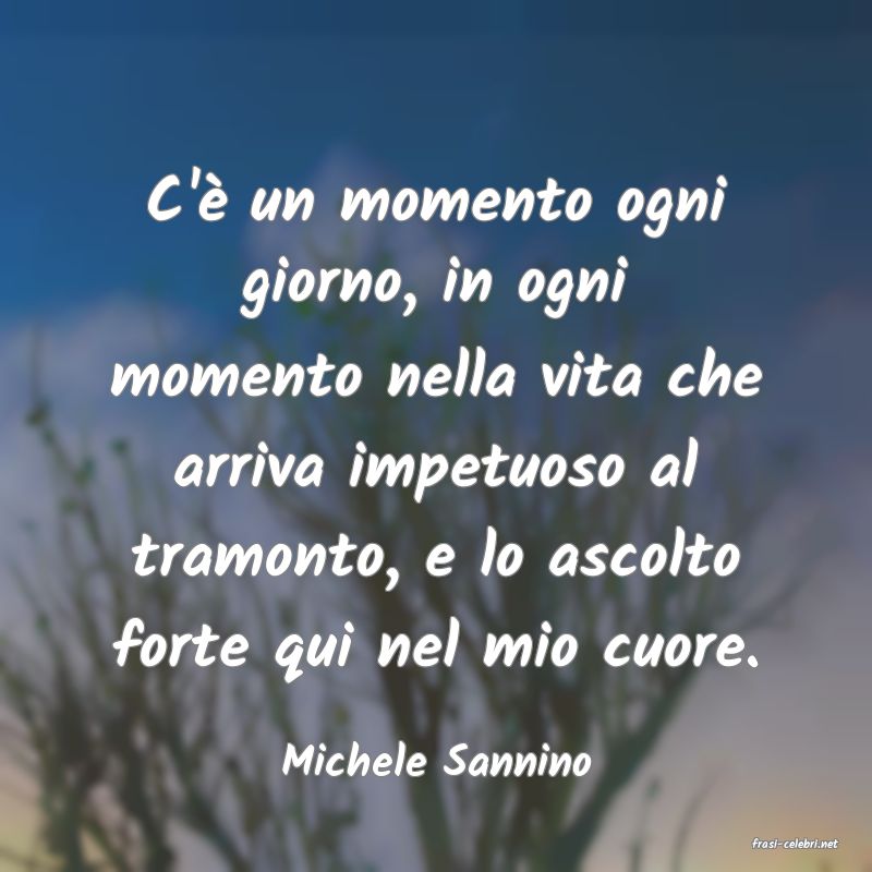 frasi di  Michele Sannino
