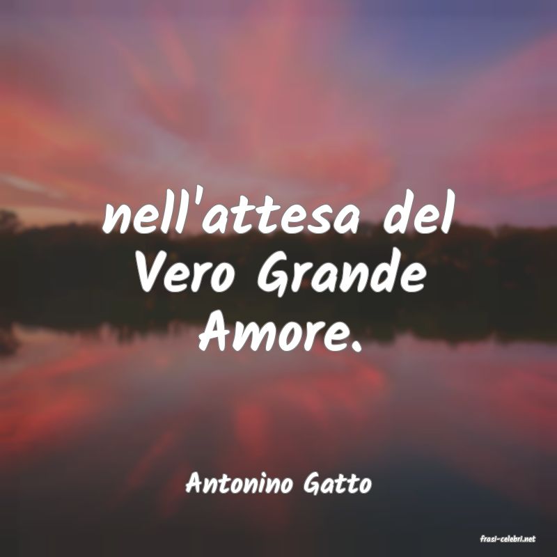 frasi di  Antonino Gatto
