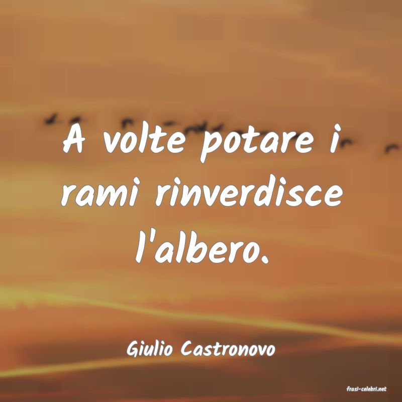 frasi di  Giulio Castronovo
