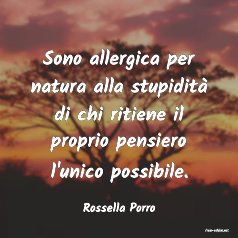 frasi di  Rossella Porro
