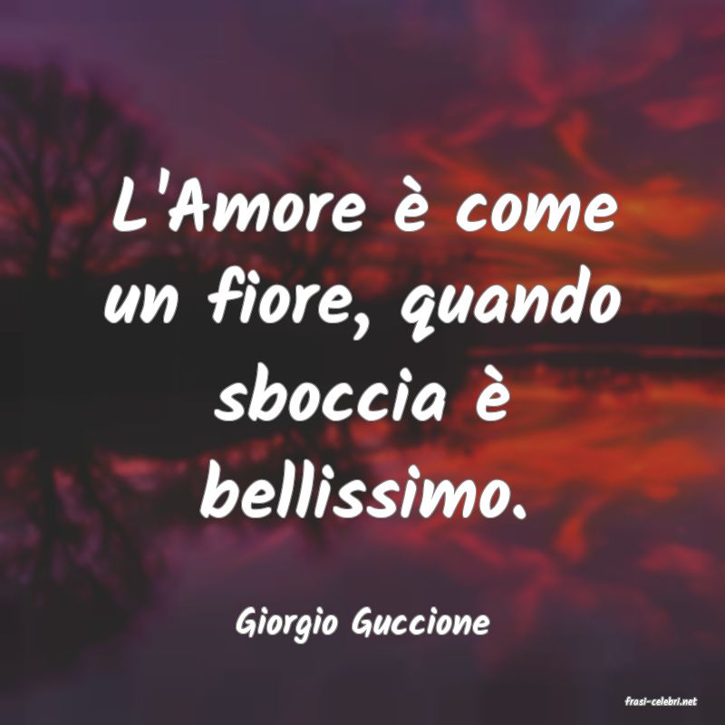 frasi di  Giorgio Guccione
