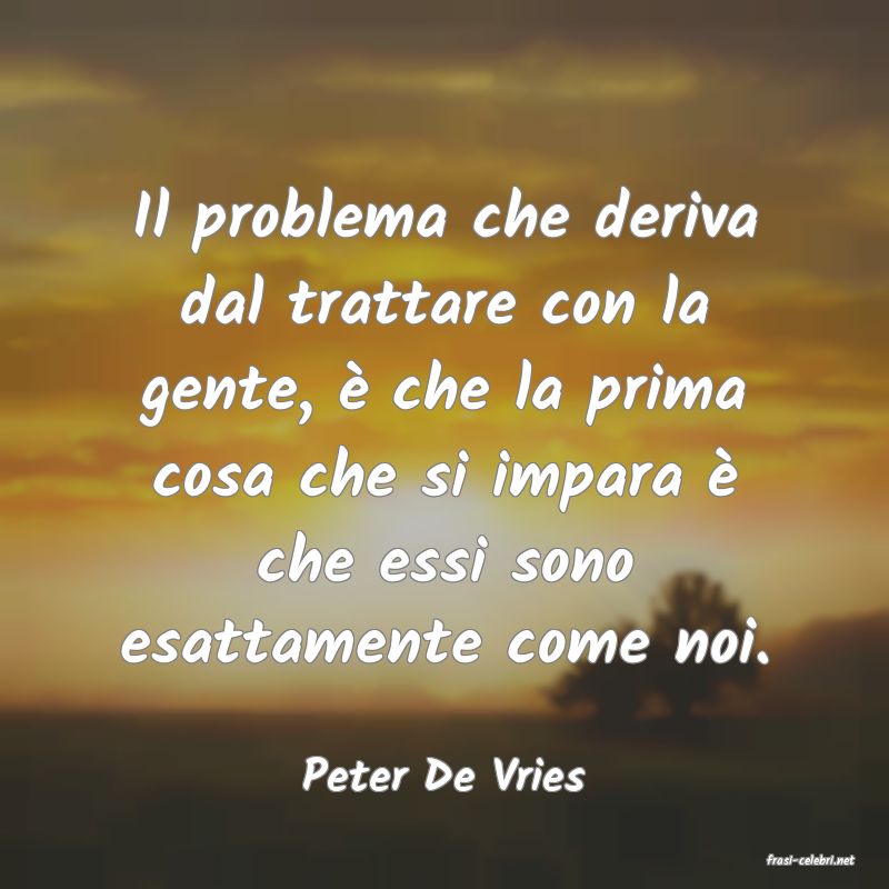 frasi di  Peter De Vries
