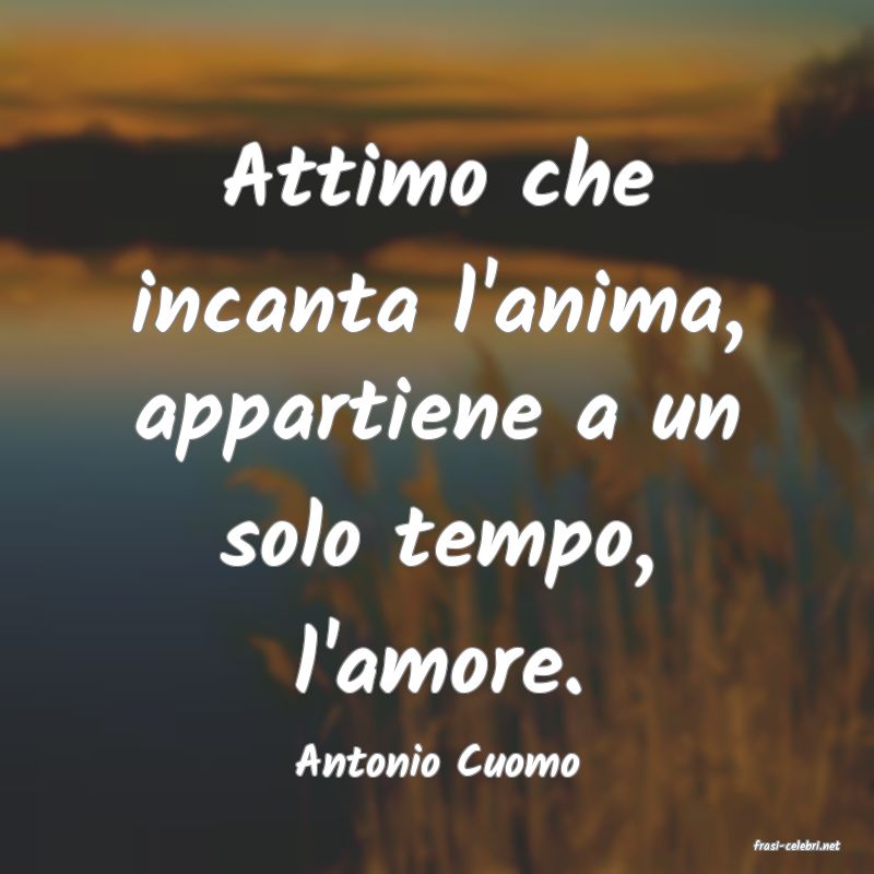 frasi di  Antonio Cuomo
