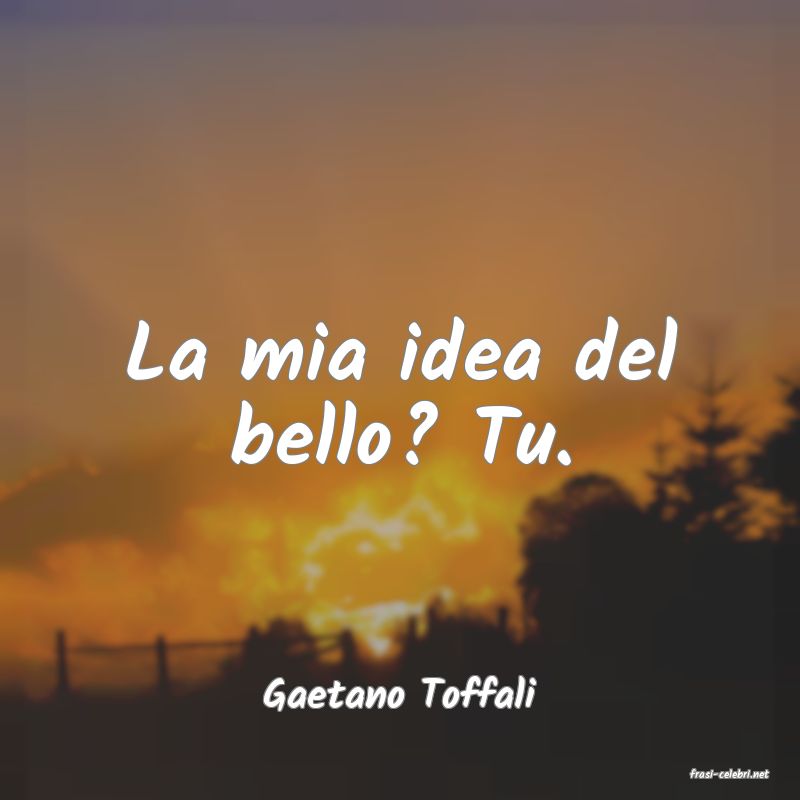 frasi di  Gaetano Toffali
