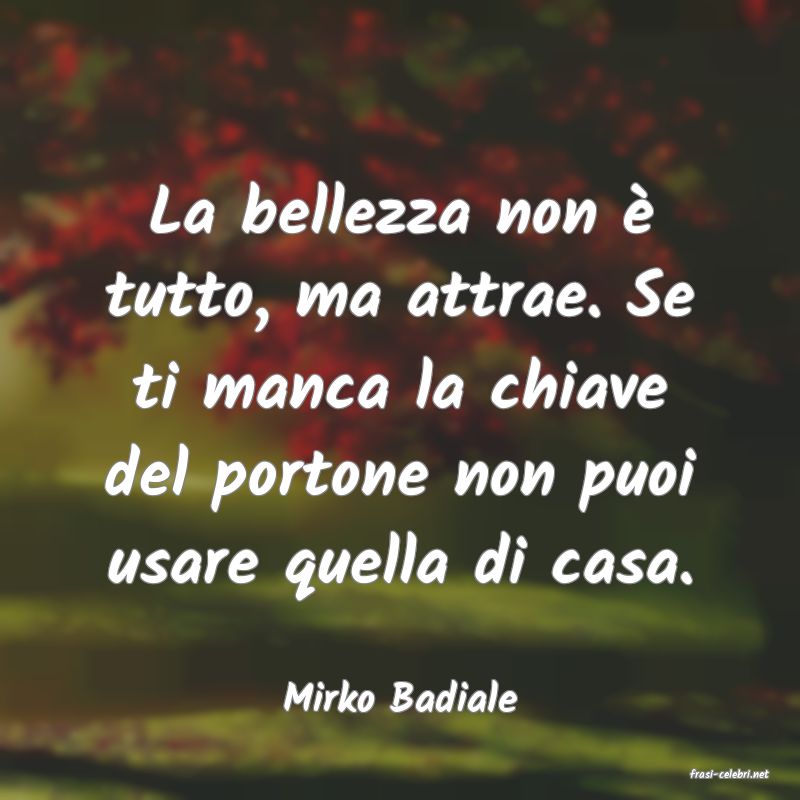 frasi di  Mirko Badiale
