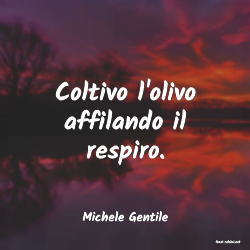 frasi di  Michele Gentile
