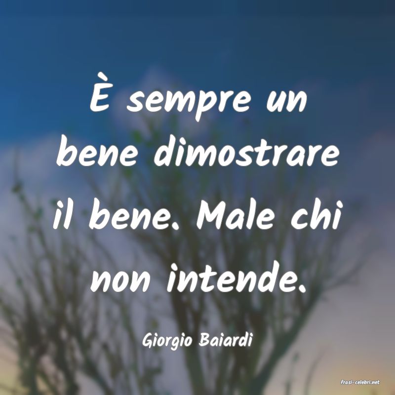 frasi di  Giorgio Baiardi
