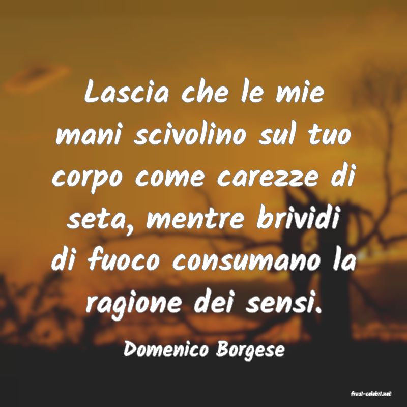 frasi di  Domenico Borgese
