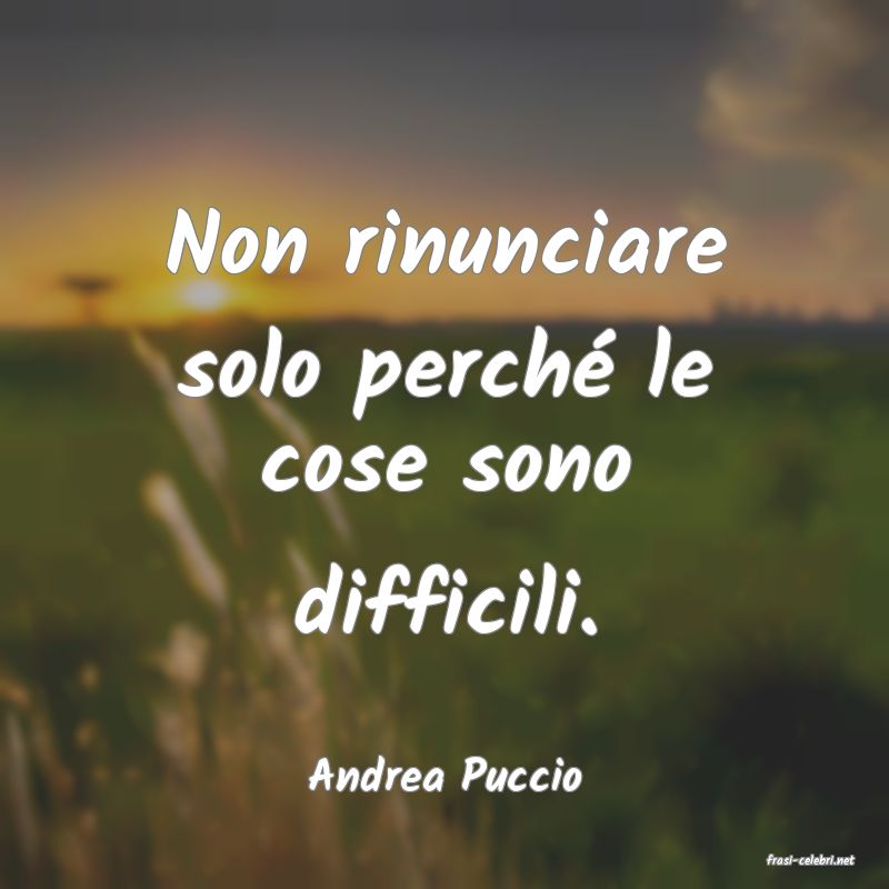 frasi di  Andrea Puccio
