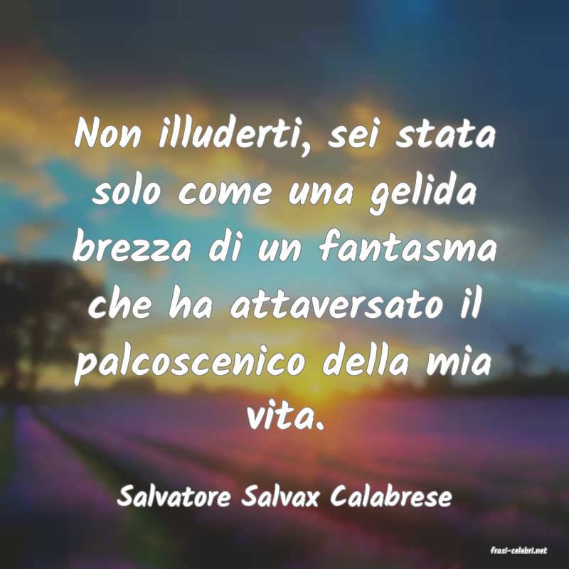 frasi di  Salvatore Salvax Calabrese
