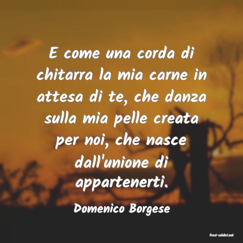 frasi di  Domenico Borgese
