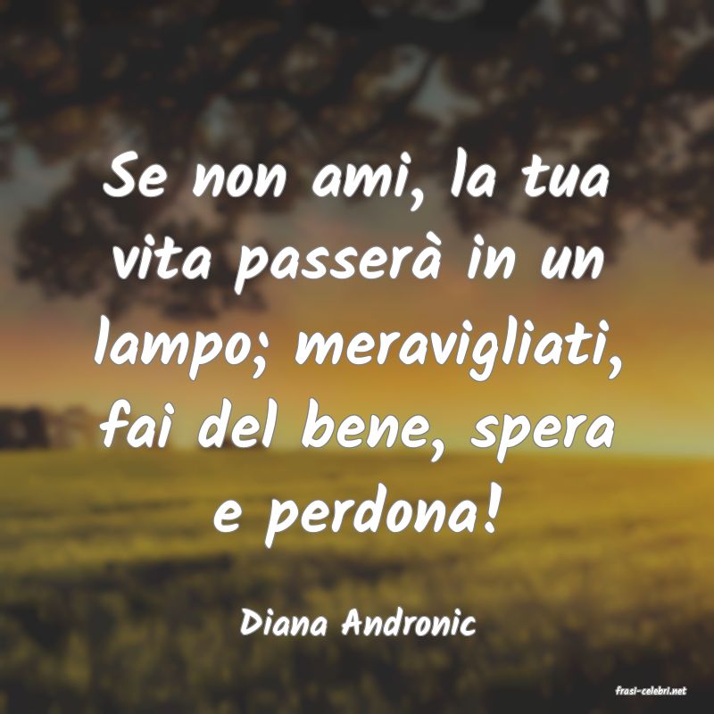 frasi di  Diana Andronic
