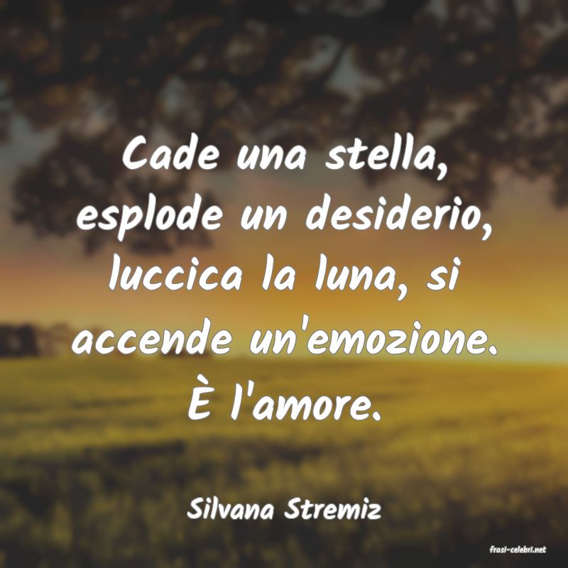 frasi di Silvana Stremiz