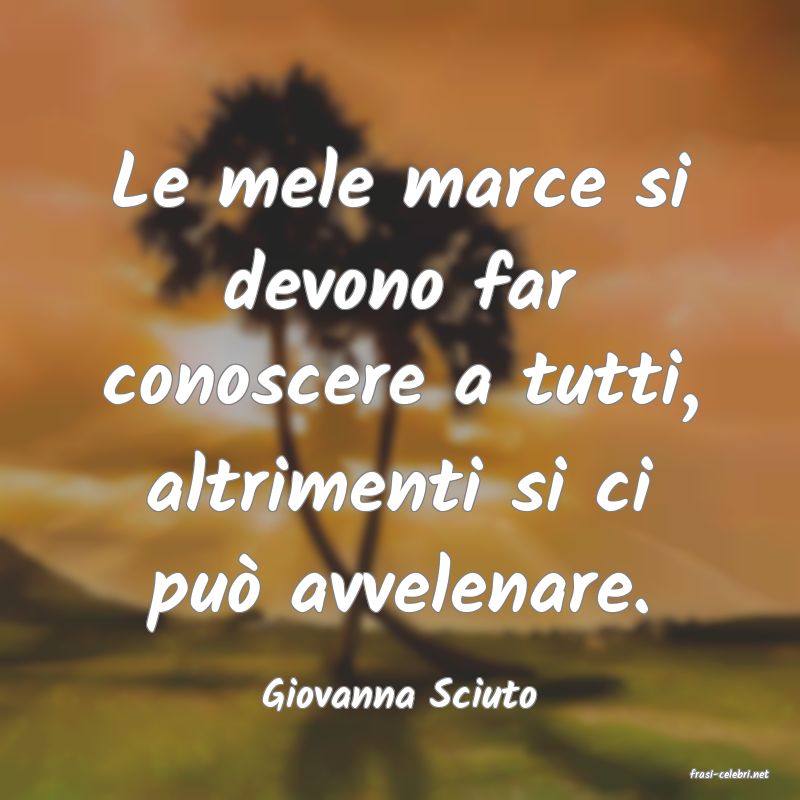 frasi di  Giovanna Sciuto
