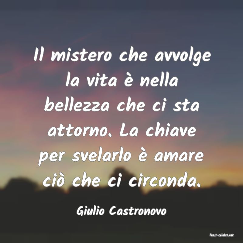 frasi di  Giulio Castronovo
