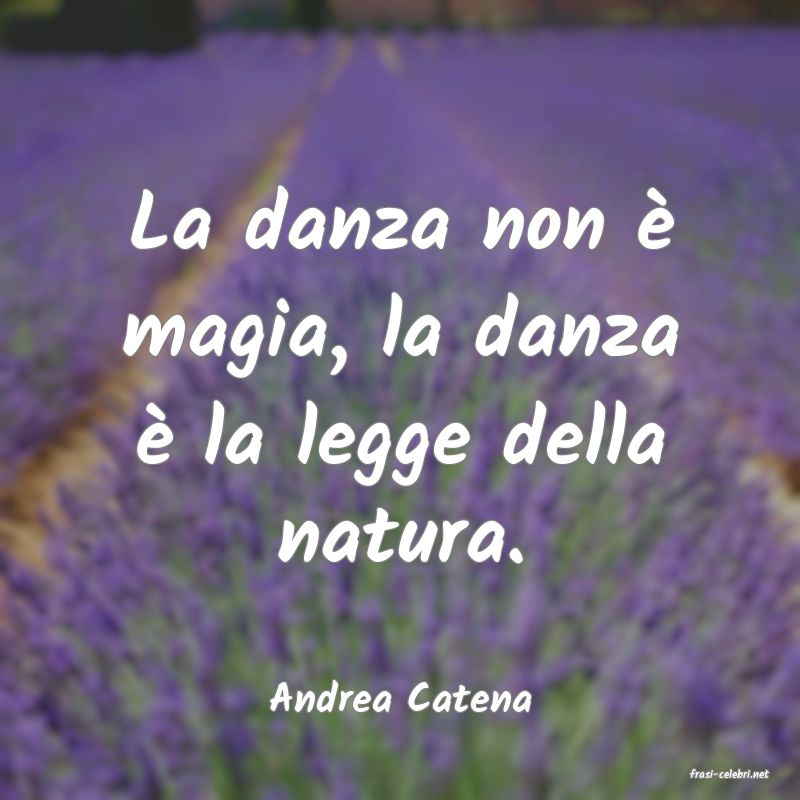 frasi di  Andrea Catena
