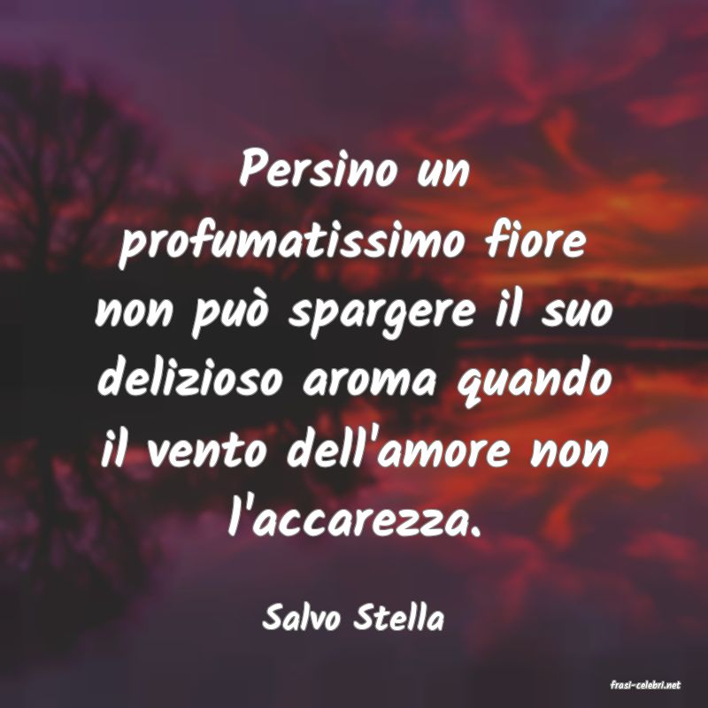 frasi di  Salvo Stella
