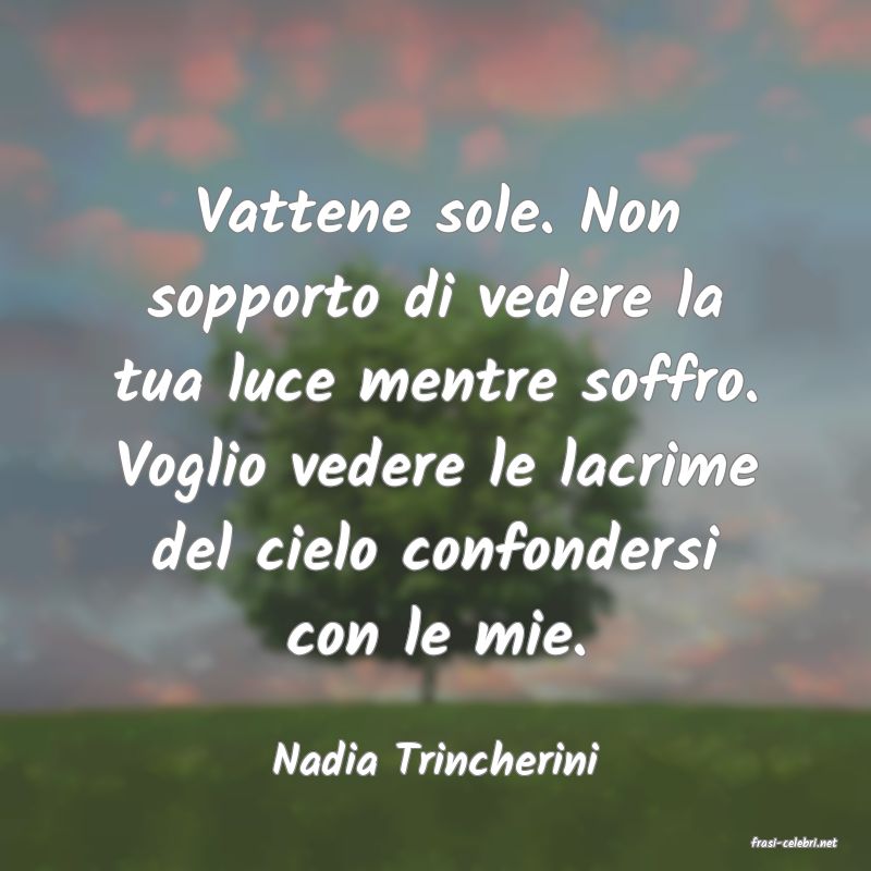 frasi di  Nadia Trincherini
