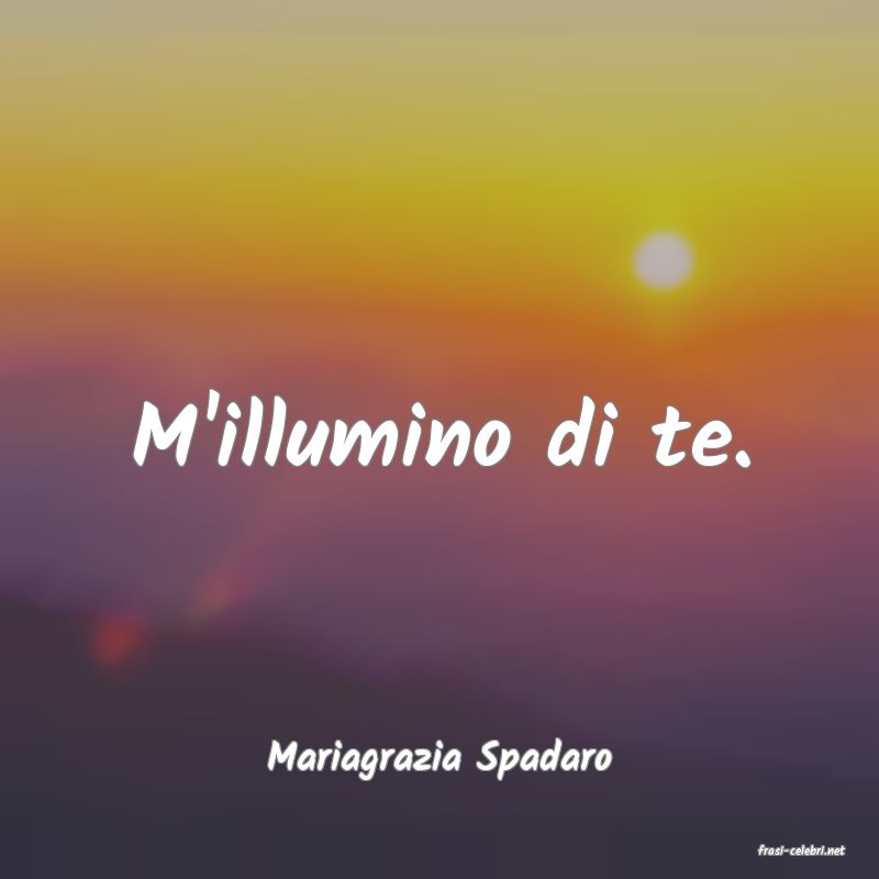 frasi di  Mariagrazia Spadaro
