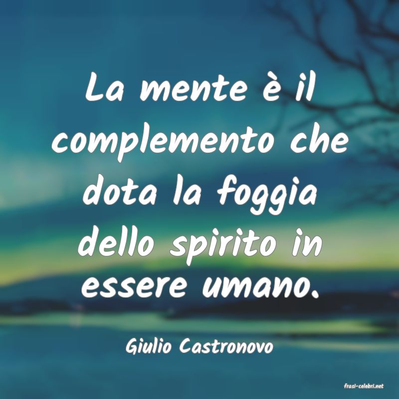 frasi di  Giulio Castronovo
