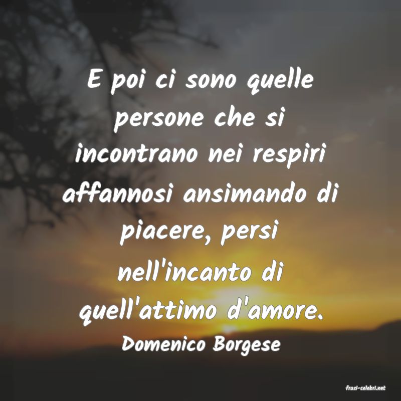 frasi di  Domenico Borgese
