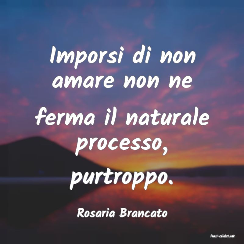 frasi di  Rosaria Brancato
