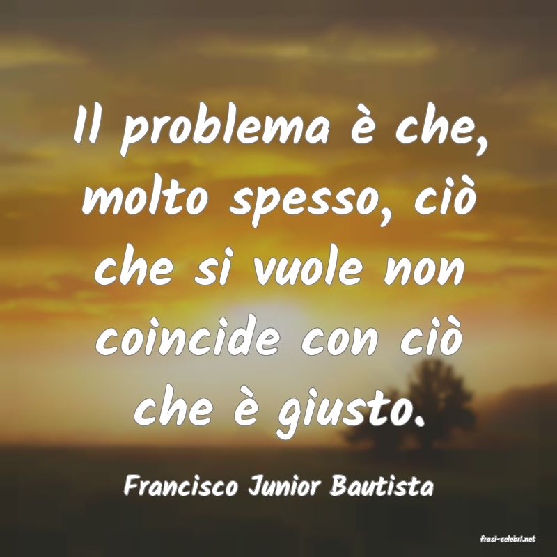 frasi di  Francisco Junior Bautista
