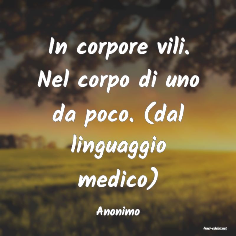 frasi di Anonimo