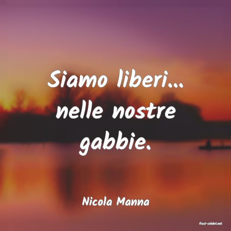 frasi di  Nicola Manna
